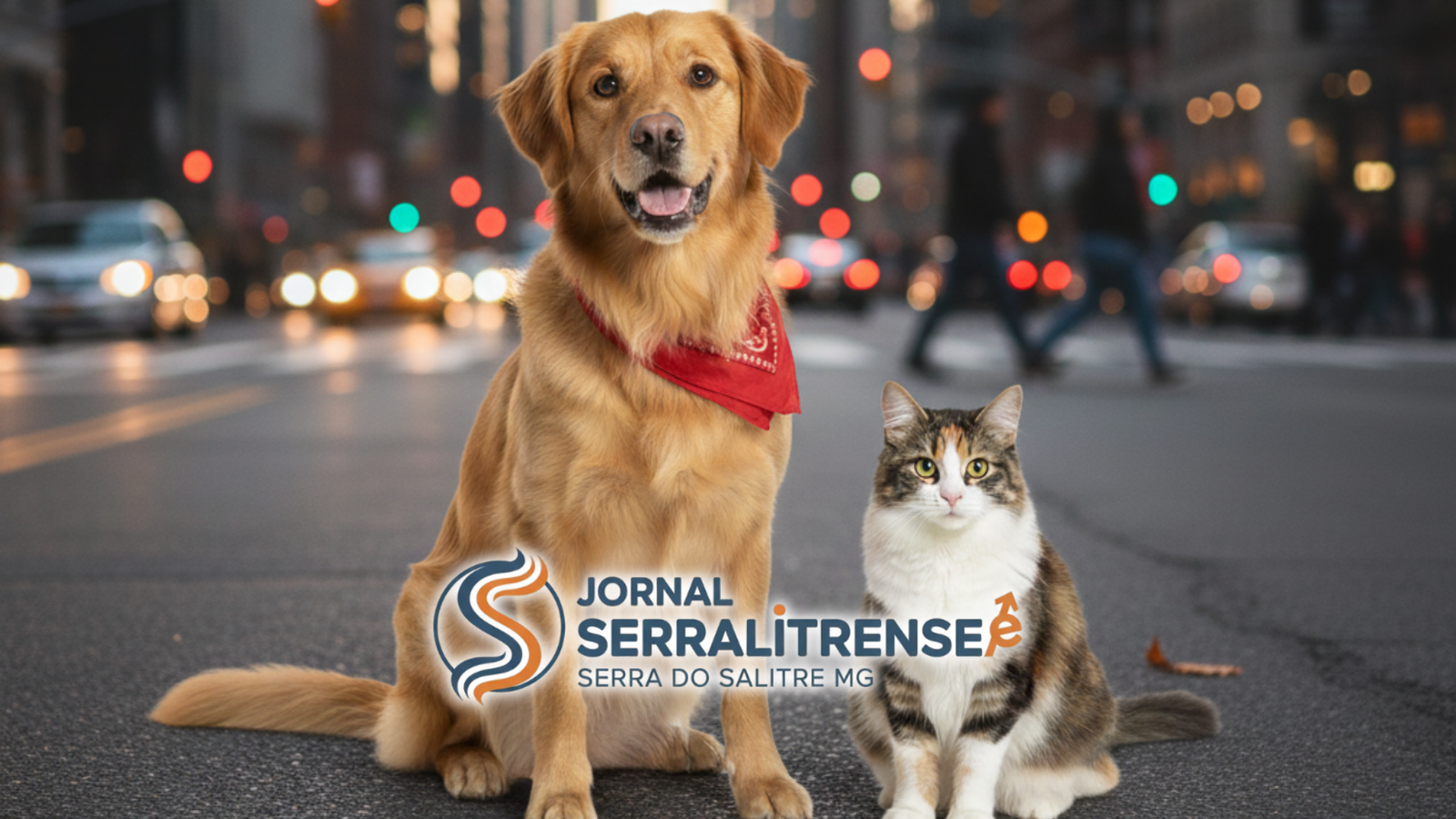 CÂMARA DE SERRA DO SALITRE APROVA SUBVENÇÃO PARA PROTEÇÃO ANIMAL