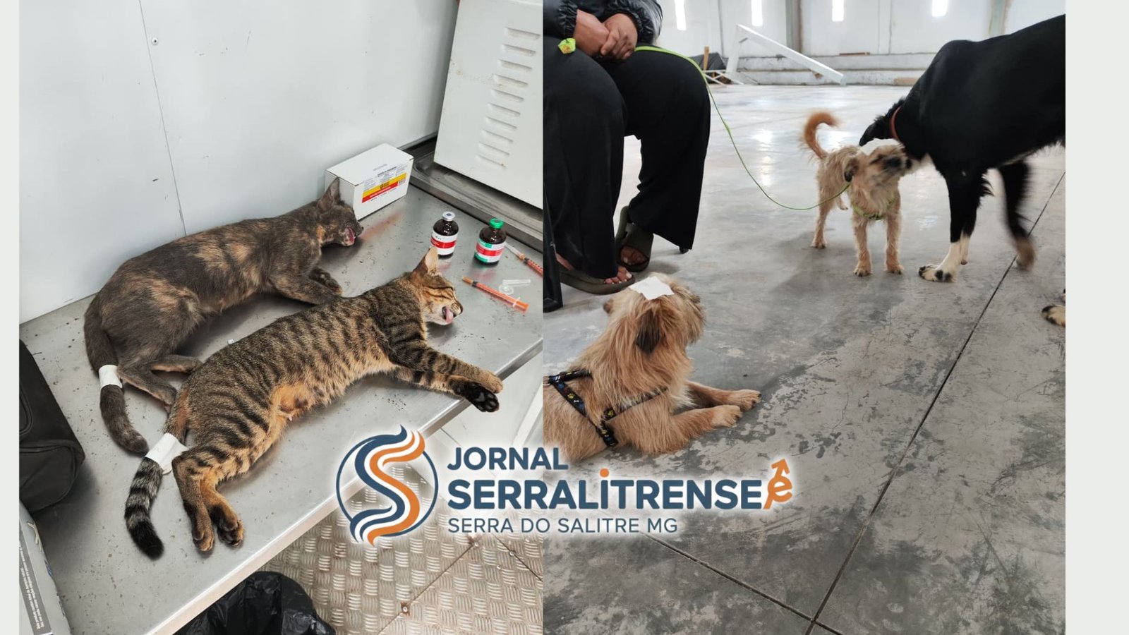 BAIXA ADESÃO MARCA PASSAGEM DO CASTRAMÓVEL PELO DISTRITO DE CATULÉS EM SERRA DO SALITRE