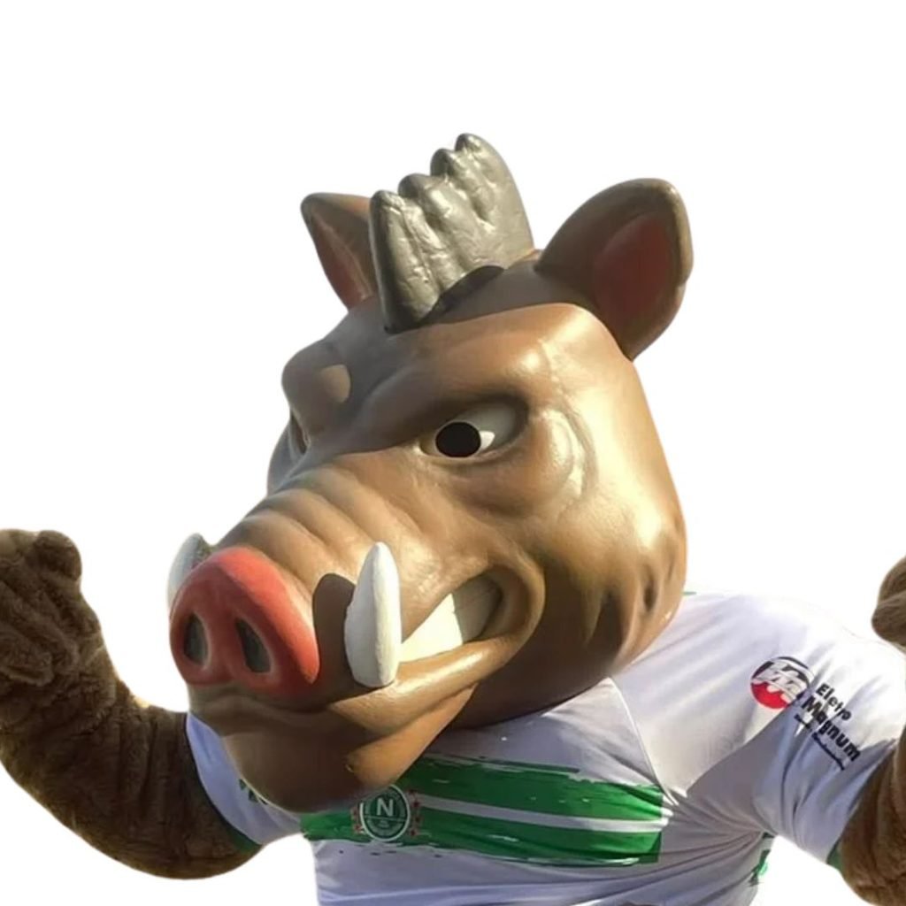 Fantasia do mascote do Nacional de Serra do Salitre