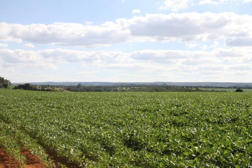 Fotos da Fazenda a venda