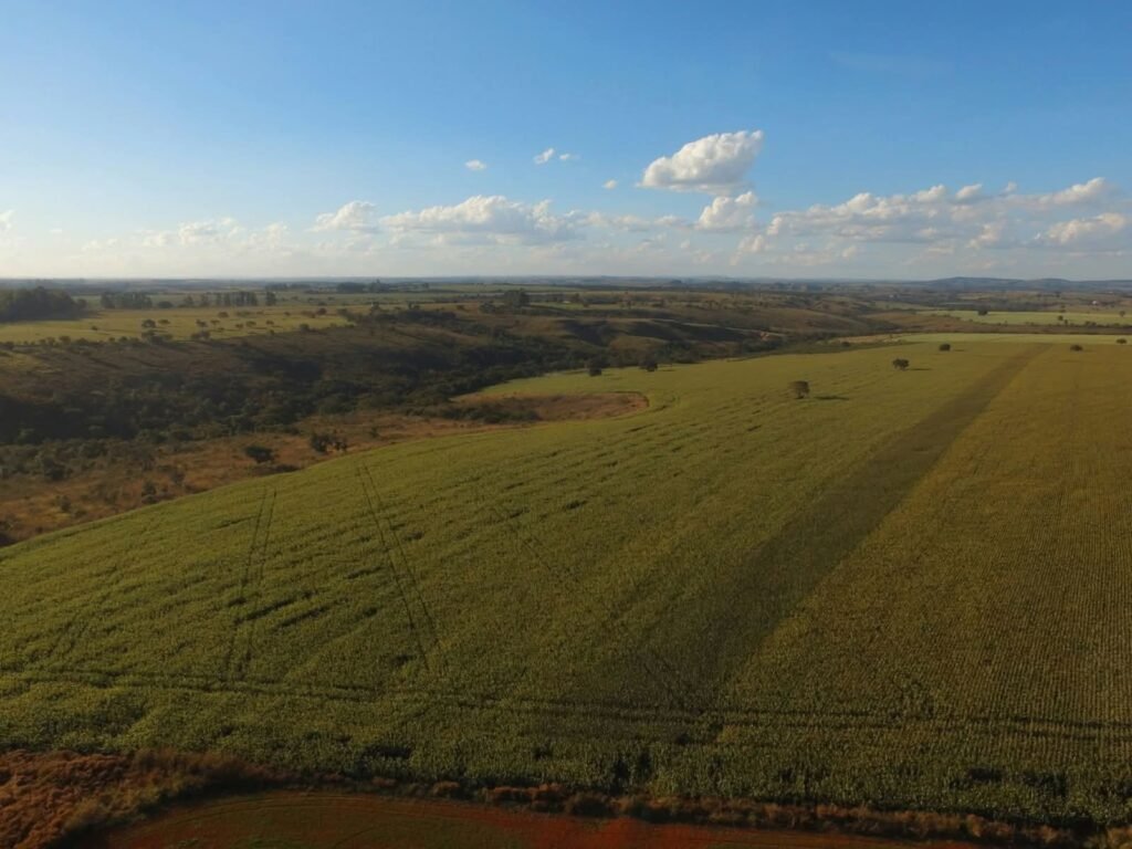 Fazenda de 92 hectares está disponível para venda ou arrendamento na região de Catulés, em Serra do Salitre